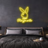 playmate neon sign